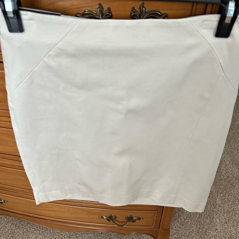 Ladies Banana Republic Skirt
